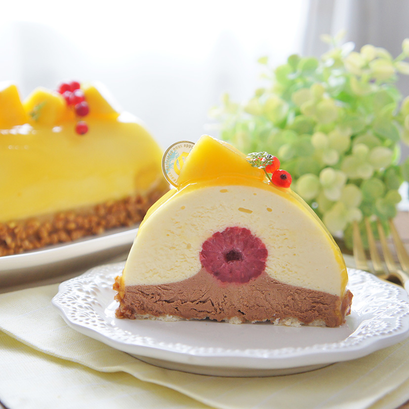 トヨ型で作る冷たいお菓子レシピ♪
